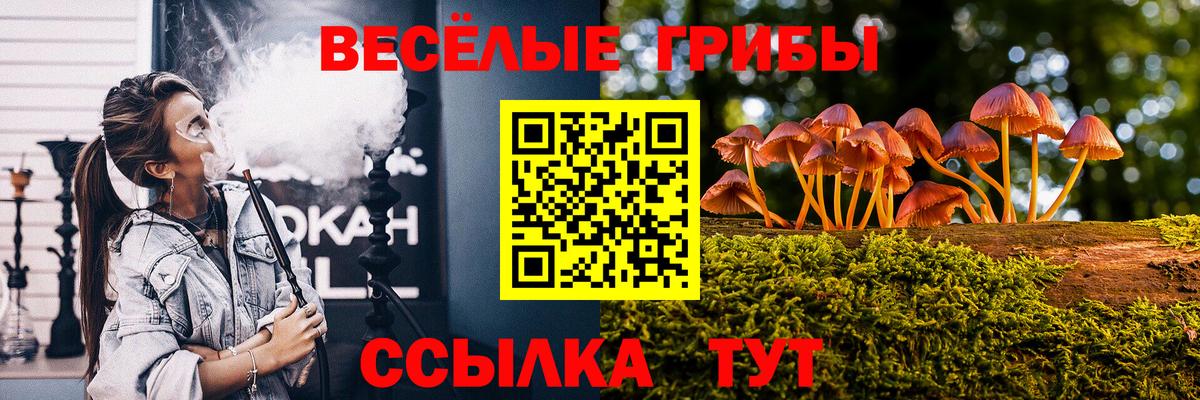 Тельмана  Псилоцибиновые грибы Psilocybe  Вход с VPN 